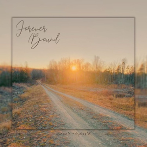 Artwork for Forever Bound