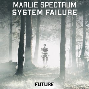 System Failure