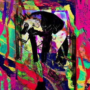 Avatar for silk fingers