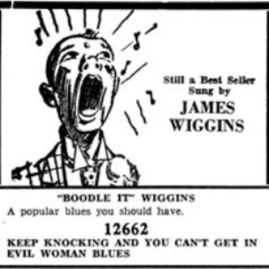 James 'Boodle It' Wiggins 的头像