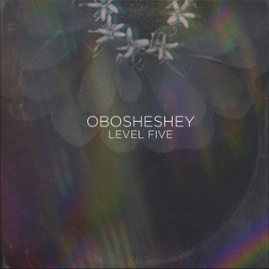 Image for 'Obosheshey'