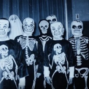 The Ant Hill Kids 的头像