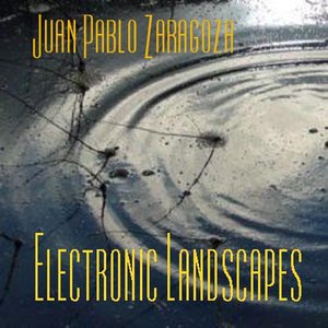 Electronic Landscapes