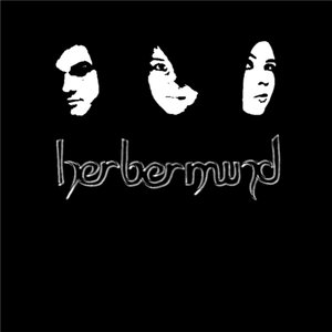 Herbermind 的头像