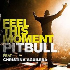 'Feel This Moment' için resim