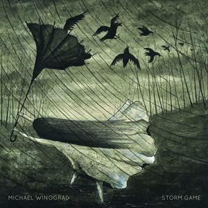 Storm Game cover