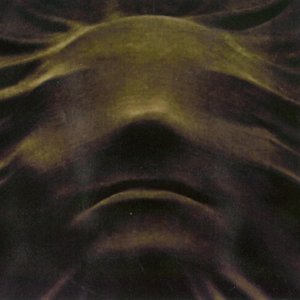 Buried Emotion 的头像
