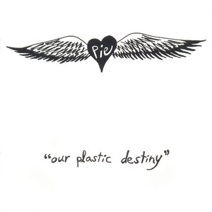 Our Plastic Destiny