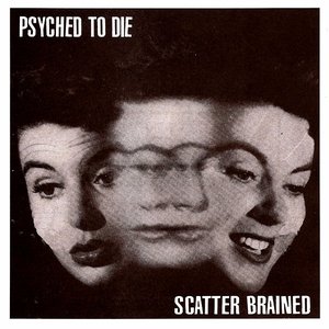 Scatter Brained