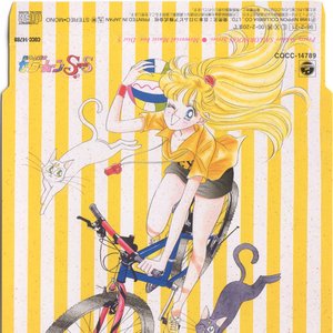 Pretty Soldier SAILORMOON Memorial Music Box Disc 5