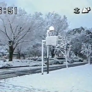 夢回顧録 的头像