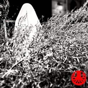 Ghost of Every Chance - Single