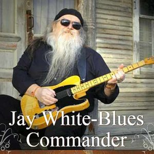 Jay White & The Blues Commanders 的头像