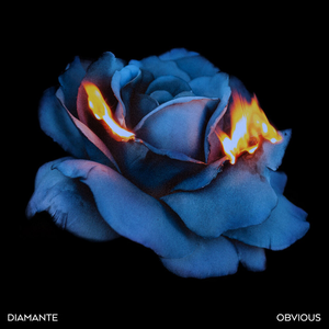 Diamante - Obvious Lyrics - Zortam Music