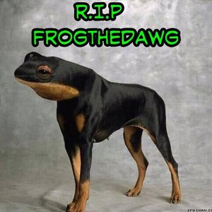 Аватар для Frog The Dawg