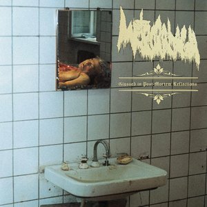 Glassed in Post-Mortem Reflections