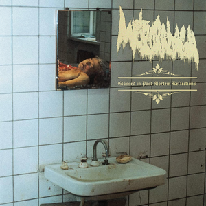 Glassed in Post-Mortem Reflections