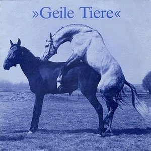 Geile Tiere