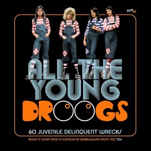 Image for 'All The Young Droogs'