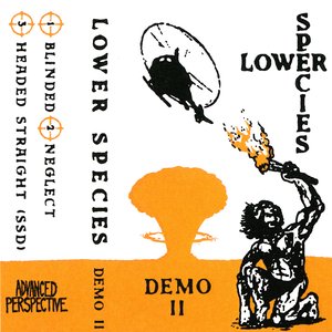 Demo II