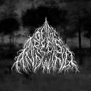 The Seer of Wistmans Wood (Demo)