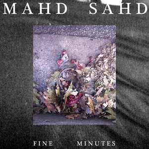FINE MINUTES