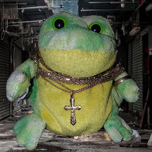 Frog from the Trenches