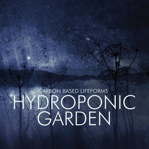 Hydroponic Garden