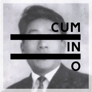 Cumino 的头像