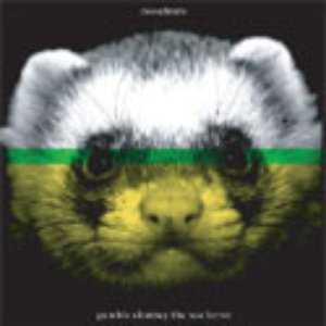 Gumble Chutney the Sea Ferret