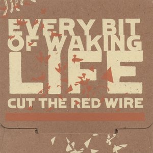 Every Bit of Waking Life