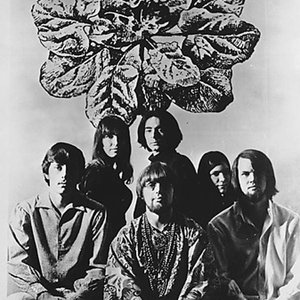 Ultimate Spinach 的头像