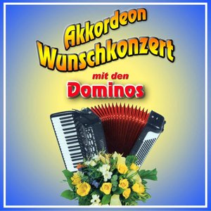 Akkordeon Wunschkonzert (18 Akkordeon Hits)