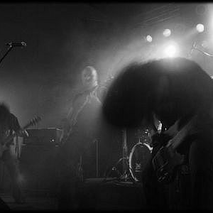 Thee Plague of Gentlemen photo provided by Last.fm