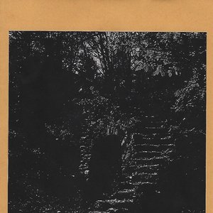 Moon Cult 的头像