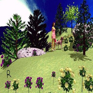 Classical Dream Music Rui