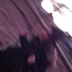 Shipwreck Charlie 的头像