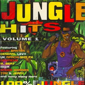 Jungle Hits, Vol. 1