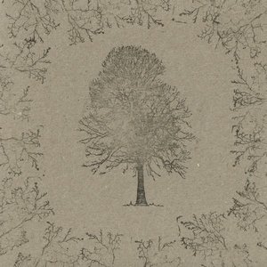 The Autumn Elegy