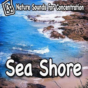 Nature Sounds for Concentration – Sea Shore