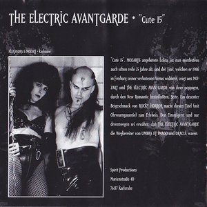 Avatar de The electric avantgarde