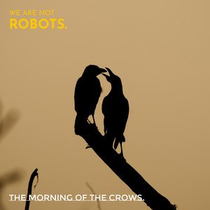 The Morning Of The Crows