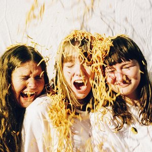 The Spaghetti Stains 的头像