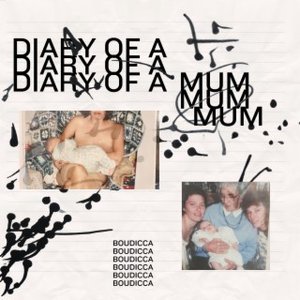 Diary of a Mum