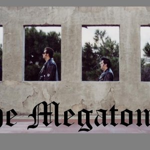 Аватар для The Megatones