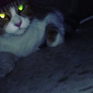nightvision - EP