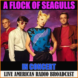 A Flock of Seagulls in Concert (Live)