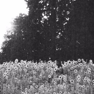 Oom Sha La La - Single
