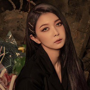다미 的头像