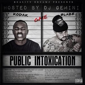 Public Intoxication